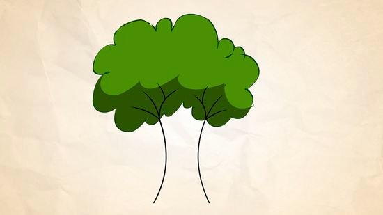 How to Draw A Simple Tree without Leaves Beautiful Banyan Tree Clipart Sheesham