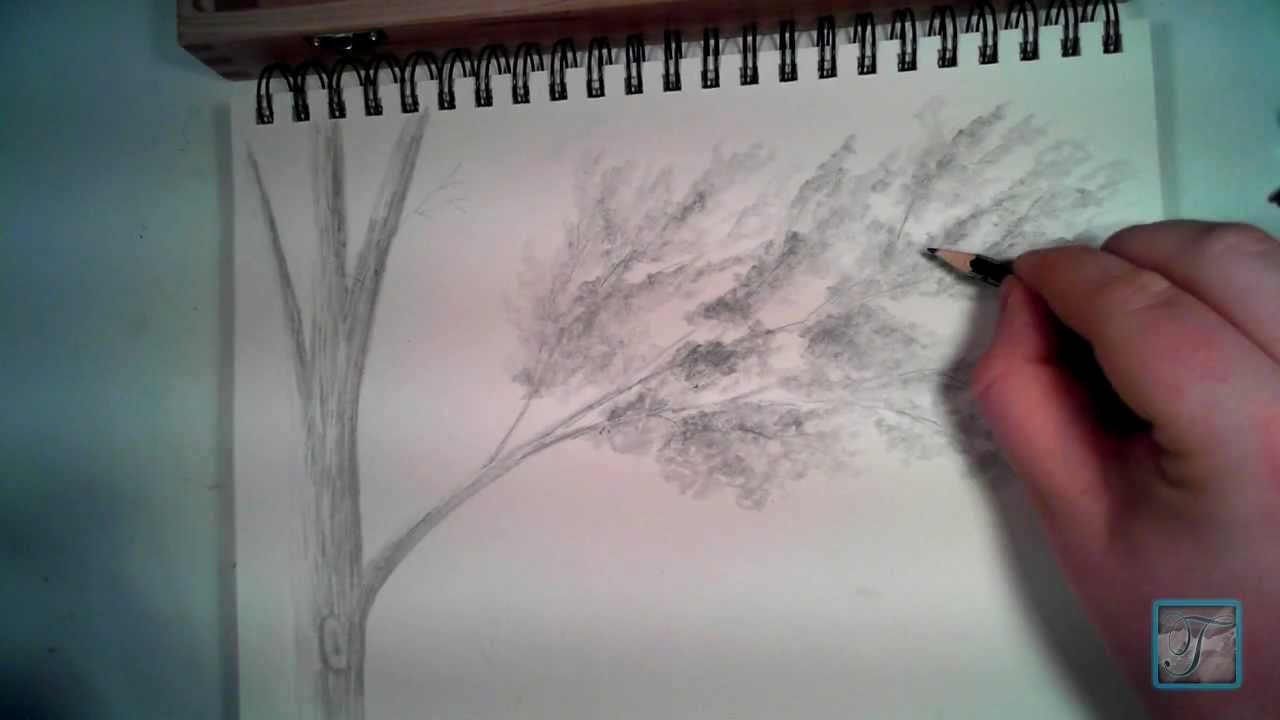 How to Draw A Simple Tree without Leaves Elegant How to Draw Realistic Looking Leaves