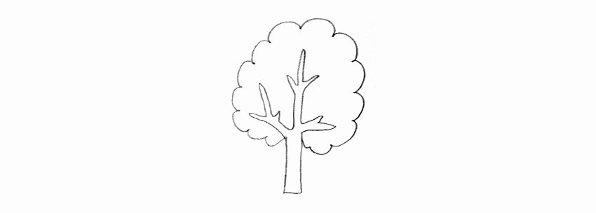 How to Draw A Simple Tree without Leaves Elegant How to Draw Trees