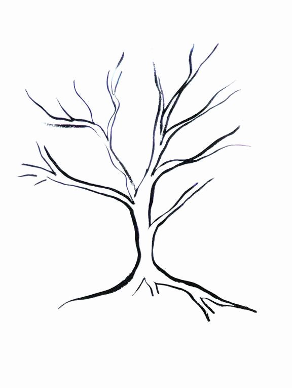 How to Draw A Simple Tree without Leaves Inspirational Disegni Degli Alberi Da Stampare Foto 15 42