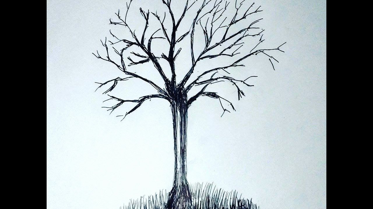 How to Draw A Simple Tree without Leaves Inspirational How to Draw A Realistic Tree without Leaves