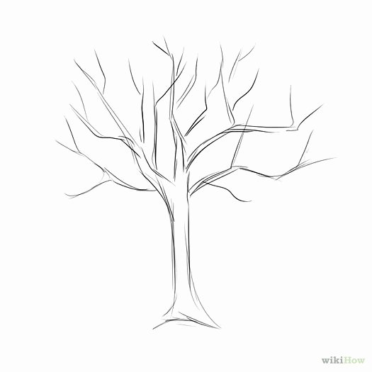 How to Draw A Simple Tree without Leaves Inspirational O Desenhar árvores Melhores Esboço Outono Mão torta