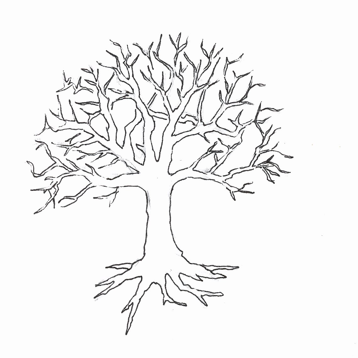 How to Draw A Simple Tree without Leaves Inspirational Tree without Leaves Coloring Page to Print and