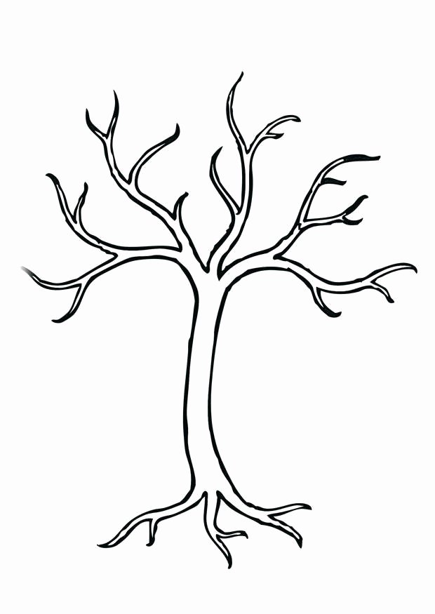 How to Draw A Simple Tree without Leaves Lovely Página Para Colorir árvore Img