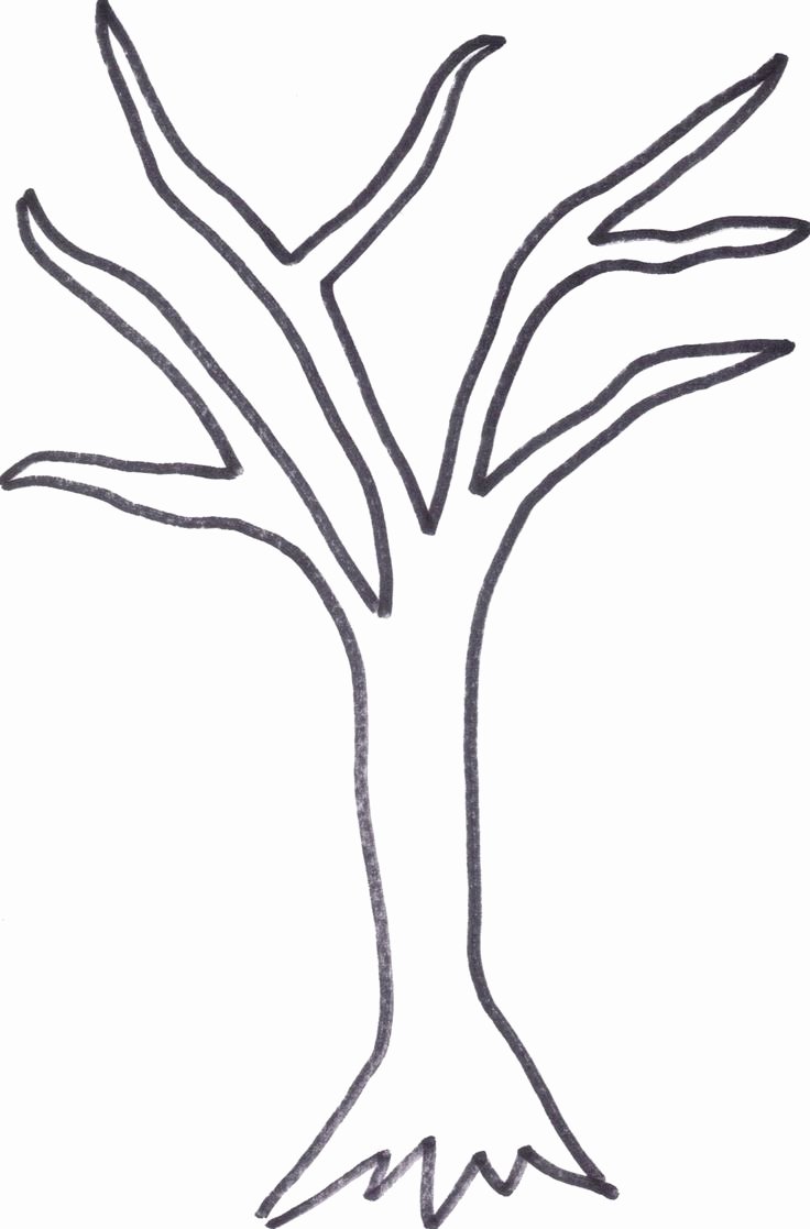 How to Draw A Simple Tree without Leaves Lovely Printable Tree Trunk