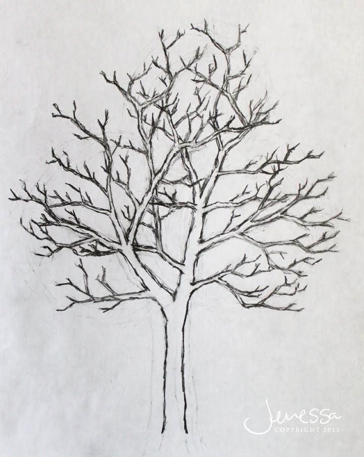 How to Draw A Simple Tree without Leaves Luxury S Easy Tree Pencil with Flower Drawing Drawings