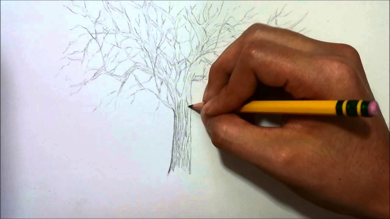 How to Draw A Simple Tree without Leaves Luxury Simple Drawing Tree without Leaves