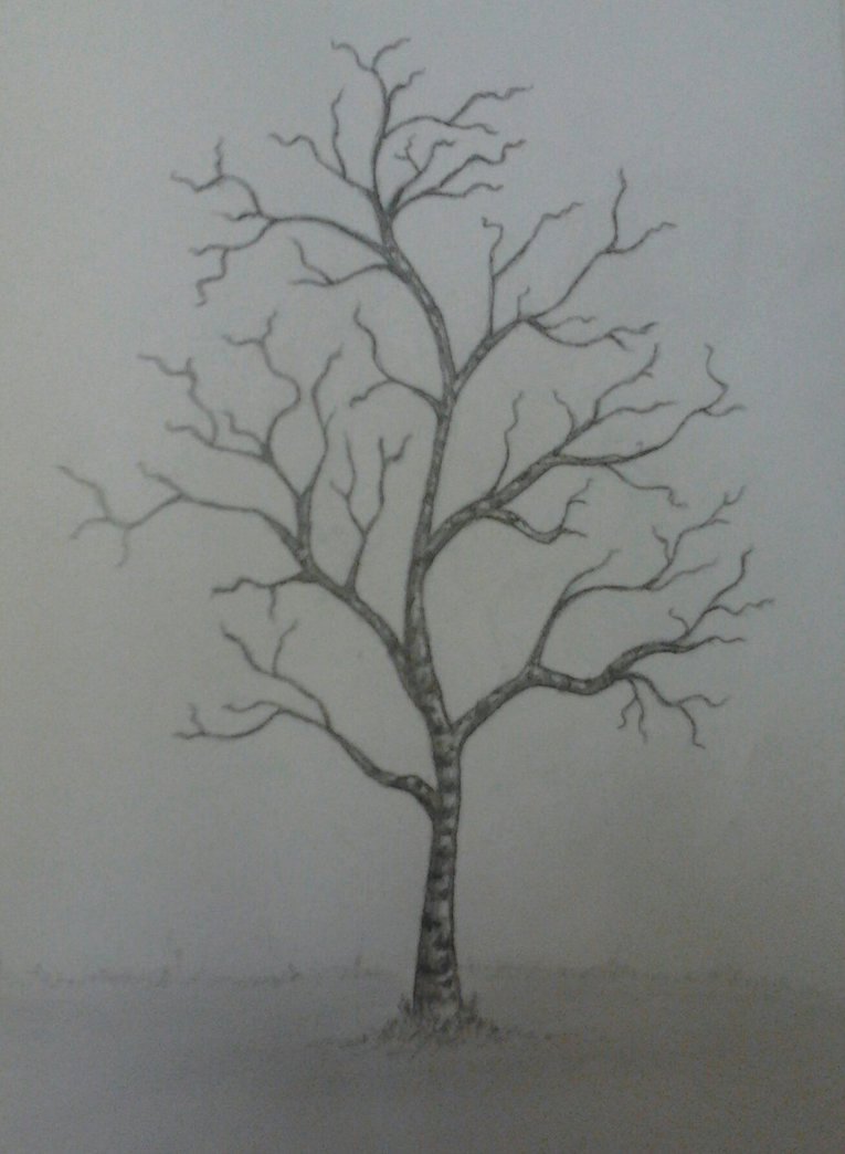 How to Draw A Simple Tree without Leaves Luxury Tree without Leaves by Ilinea On Deviantart
