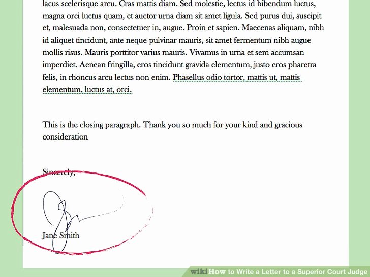 How to Write A Letter to A Judge Template Elegant How to Write A Letter to A Superior Court Judge 15 Steps