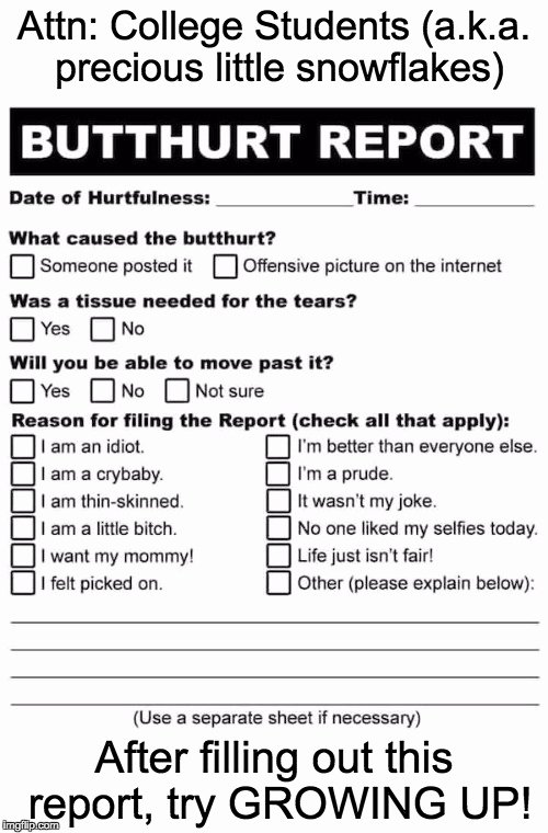 Hurt Feelings Report Template Luxury Image Tagged In butthurt Report Imgflip