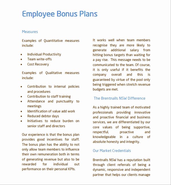 Incentive Plan Template Luxury 7 Bonus Plan Templates