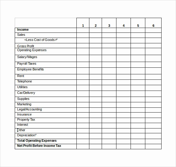 Income Statement Template Word Beautiful Sample Projected In E Statement Template 11 Free