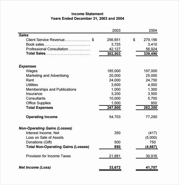 Income Statement Template Word New 10 Sample In E Statements