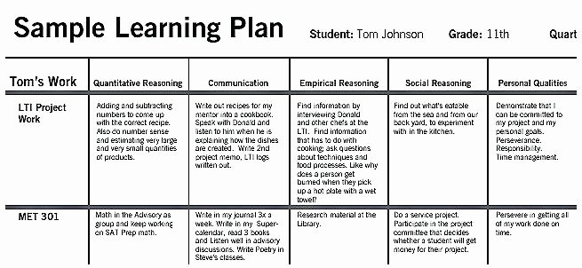 Individual Learning Plan Template Elegant Individual Development Plan Template Well Likeness format