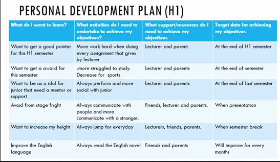 Individual Professional Development Plan Sample Beautiful Adyusofzz