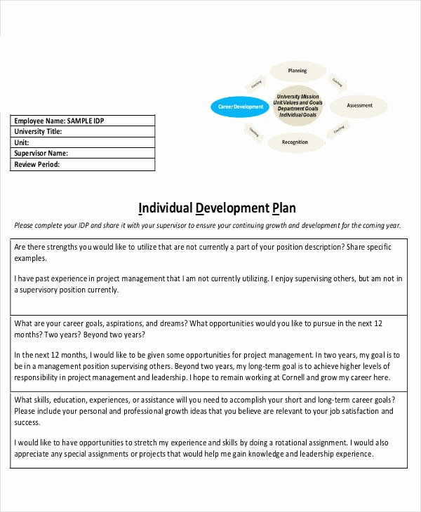 Individual Professional Development Plan Sample Inspirational 11 Individual Development Plan Examples &amp; Samples Pdf