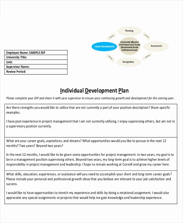 Individual Professional Development Plan Sample Inspirational 11 Individual Development Plan Examples &amp; Samples Pdf