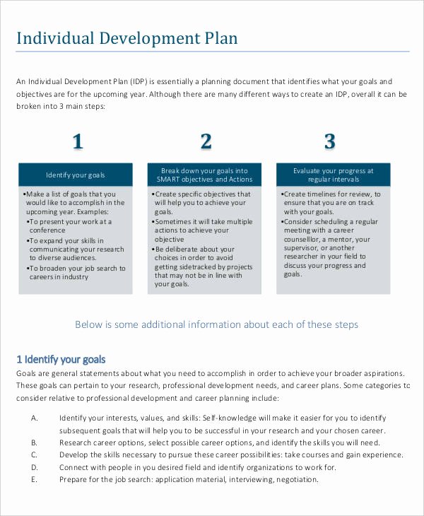 Individual Professional Development Plan Sample New 39 Development Plan Samples Pdf Word