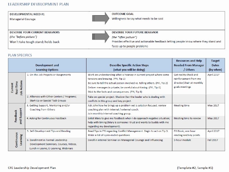 Individual Professional Development Plan Sample New Leadership Development Plan