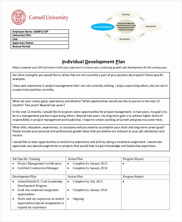 Individual Professional Development Plan Sample Unique 15 Individual Development Plan Templates Free Sample