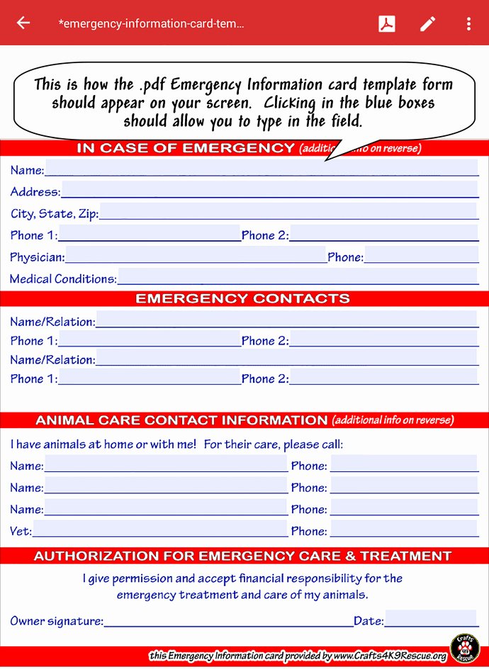 Info Card Template Awesome Emergency Information Card Template