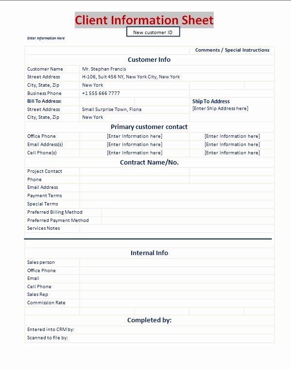 Information form Template Inspirational Client Information Sheet Template Excel Pdf formats