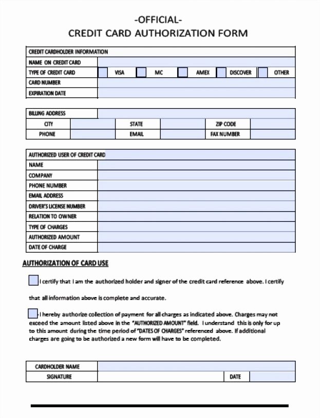 Information form Template Unique Credit Card Information form Template Download Sample