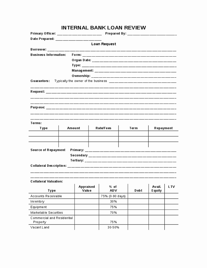 Information form Template Unique Request for Information Template