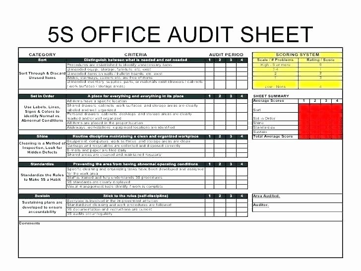 Internal Auditor Interview Questions Beautiful Risk Management Audit Template Internal Excel Information