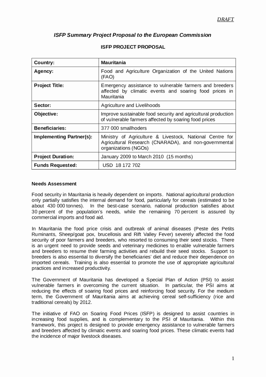 Internal Proposal Template Best Of Project Proposal Template How to Write A Project