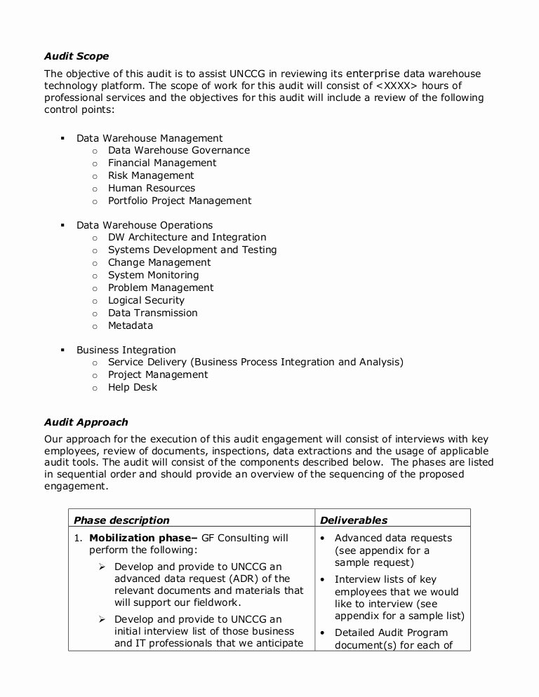 Internal Proposal Template Lovely Sample Audit Plan