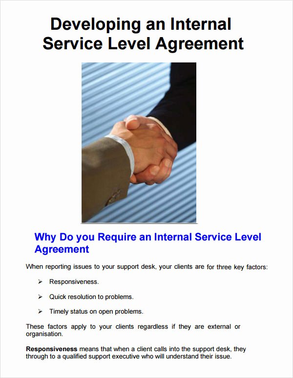 Internal Service Level Agreement Template Luxury Service Level Agreement 8 Free Pdf Doc Download