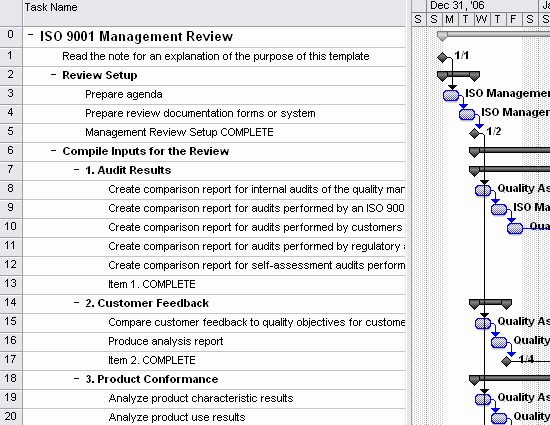 Iso 9001 Work Instruction Template Luxury iso 9001 Management Review Template for Project 2007