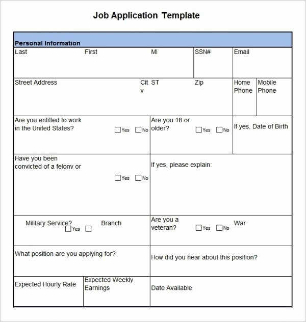Job Application Sample Pdf Inspirational Job Application Template 19 Examples In Pdf Word