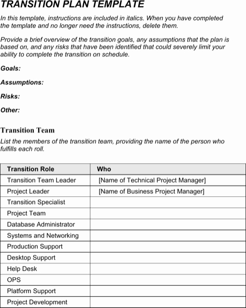 Job Transition Email Template Inspirational Transition Plan Template