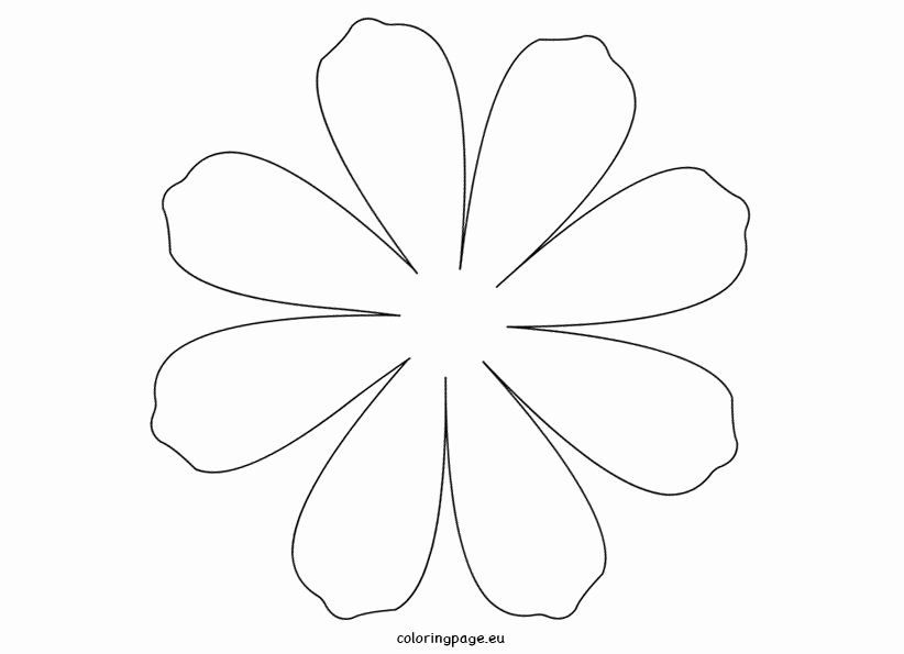 Large Flower Petal Template Luxury Daisy Petal Template