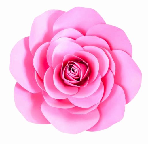 Large Rose Paper Flower Template Lovely Free Paper Rose Template Diy Camellia Rose Tutorial