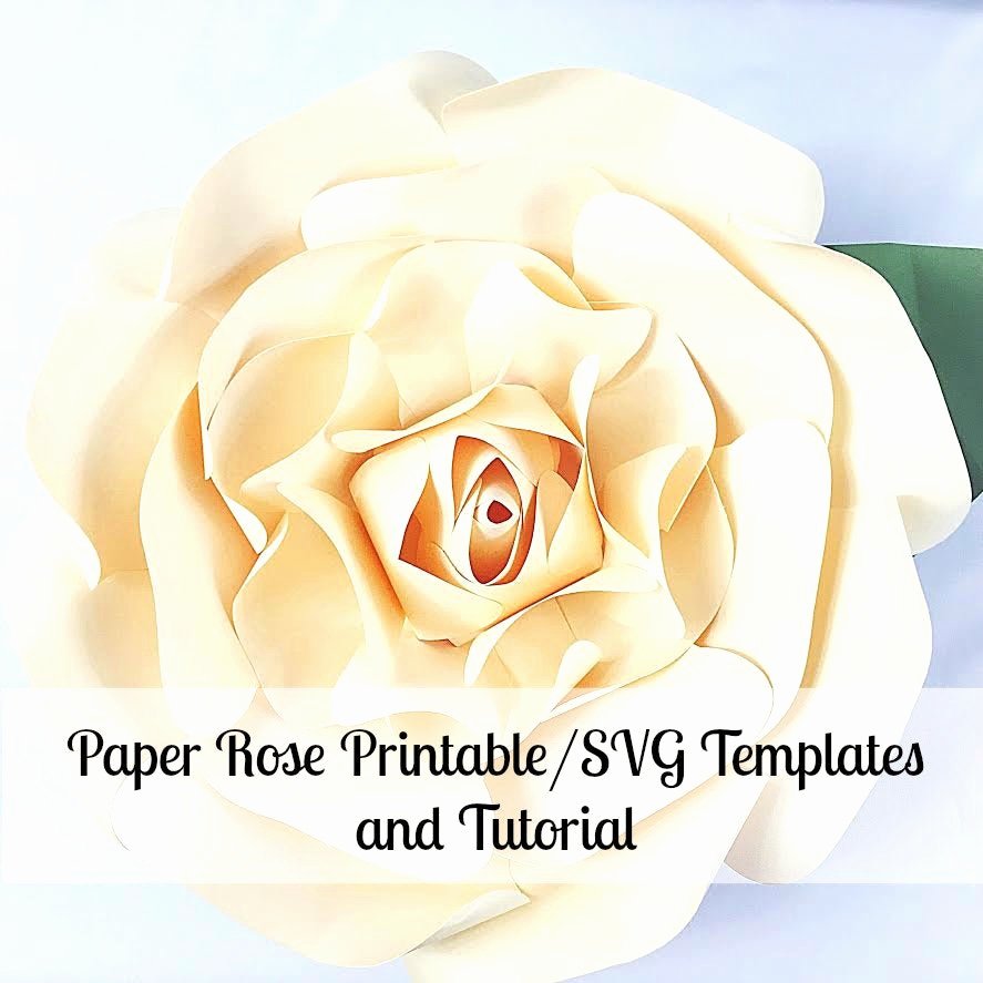 Large Rose Paper Flower Template Lovely Paper Flowers Giant Paper Flowers Printable Rose