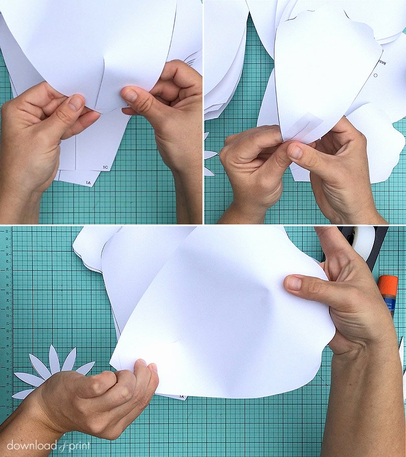 Large Rose Paper Flower Template Luxury How to Make Giant Paper Roses Plus A Free Petal Template