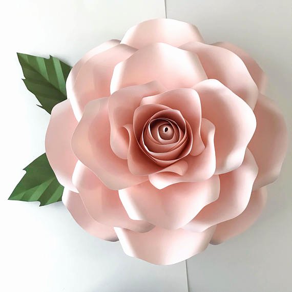 Large Rose Paper Flower Template Unique Pdf New Rose Paper Flower Template W Rose Bub Center