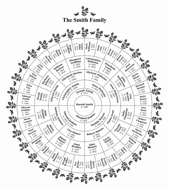 Large Tree Template Awesome Best 25 Family Trees Ideas On Pinterest