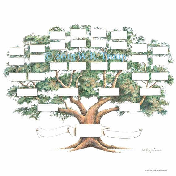 Large Tree Template Best Of Family Tree Scrapbook Chart 12x12 Inch 5 6 Generations