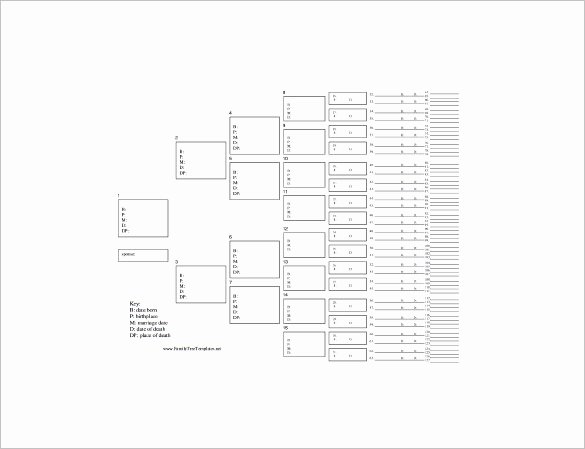 Large Tree Template Best Of Family Tree Template 11 Free Word Excel format