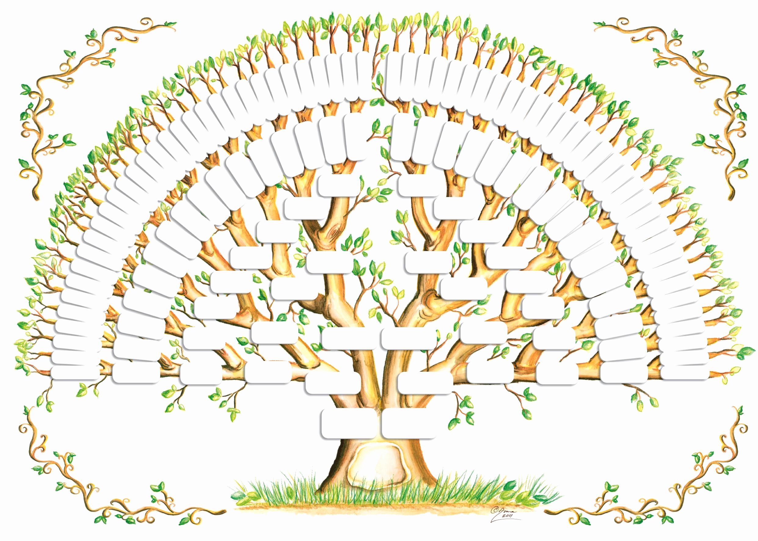 Large Tree Template Elegant 5 Generation Family Tree Template Tree Gallery