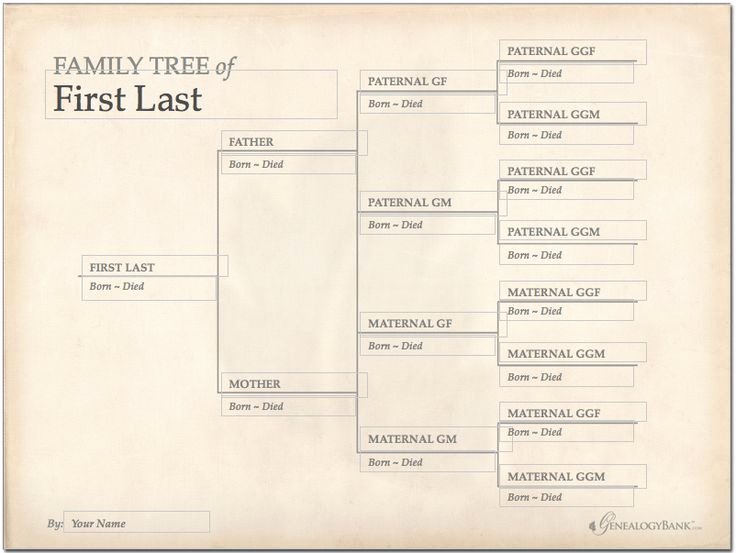 Large Tree Template Lovely 228 Best Images About Genealogy Charts forms and