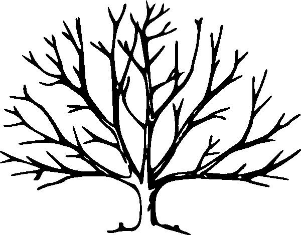 Large Tree Template Lovely Tree with No Leaves Clip Art at Clker Vector Clip