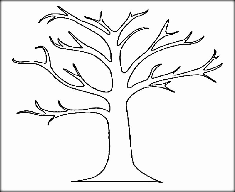 Large Tree Template Luxury Big Tree No Leaves Coloring Coloring Pages