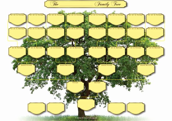 Large Tree Template New Blank Family Tree Charts