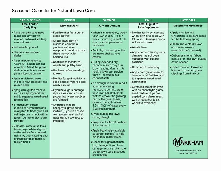 Lawn Mowing Schedule Template Lovely Monthly Lawn Care Schedule Bing Images