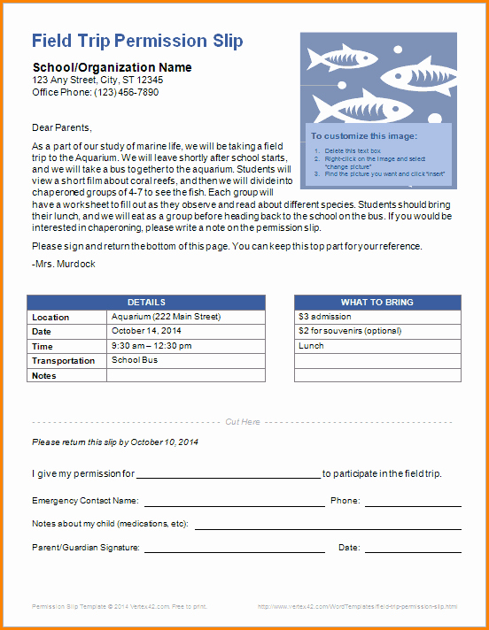 Lds Permission form Elegant 7 Free Permission Slip Template